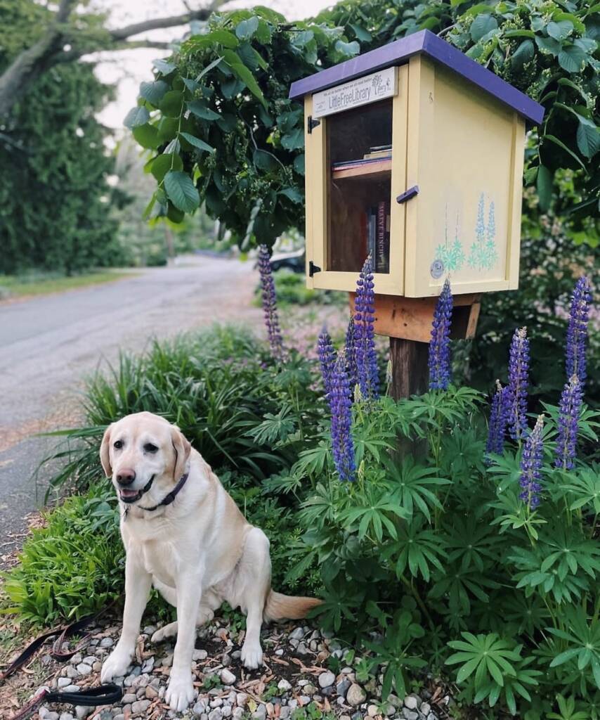 LittleFreeLibrary.org